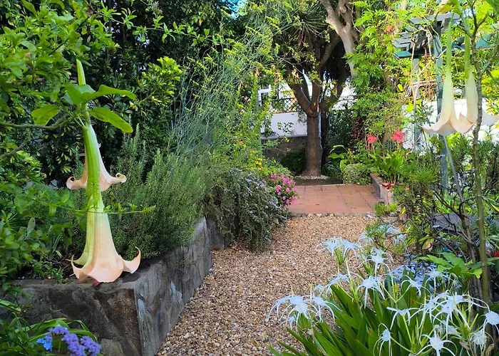 Casa Flora Loft Lejlighed Sauzal