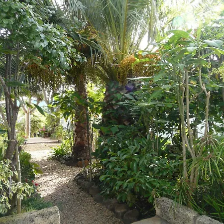 Apartament Casa Flora Loft Sauzal