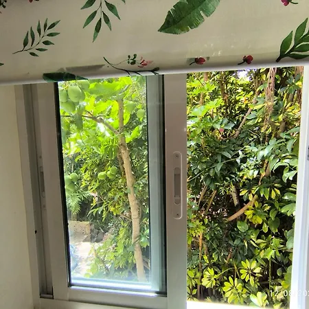 Casa Flora Loft *