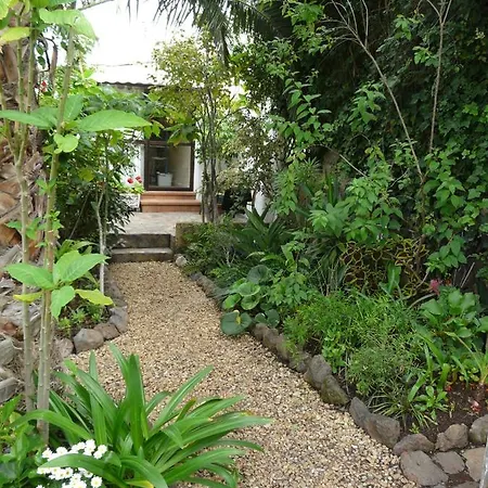 Apartamento Casa Flora Loft *