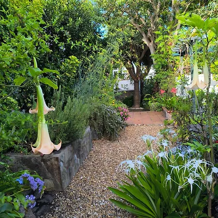 Casa Flora Loft Apartamento Sauzal