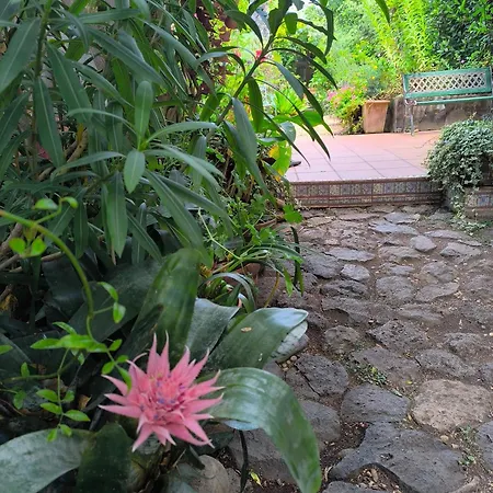 Casa Flora Loft