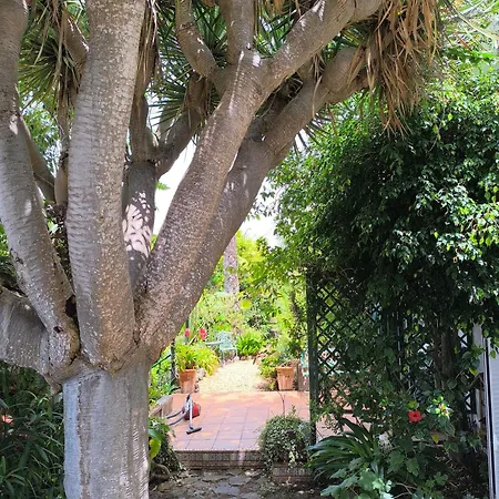 Casa Flora Loft Apartamento Sauzal