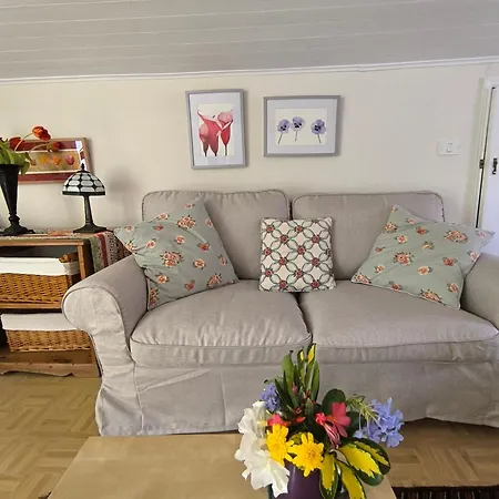 Casa Flora Loft * Sauzal