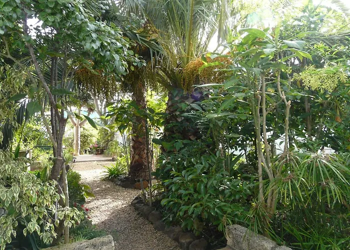 Lägenhet Casa Flora Loft Sauzal