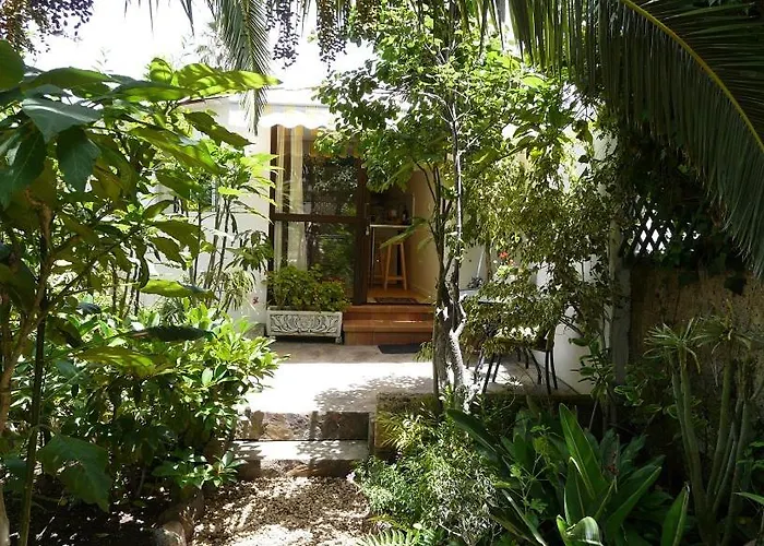 Lägenhet Casa Flora Loft Sauzal