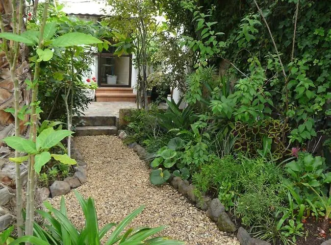 Lägenhet Casa Flora Loft *