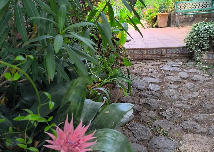 Casa Flora Loft