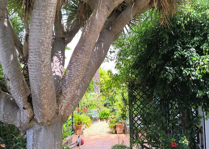 Casa Flora Loft Lägenhet Sauzal